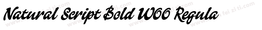 Natural Script Bold W00 Regular字体转换